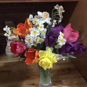 Meet your Posher, Charlotte